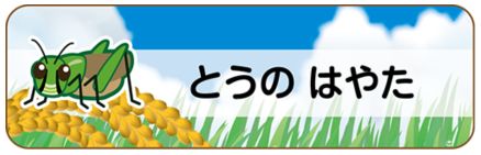 昆虫のお名前シール